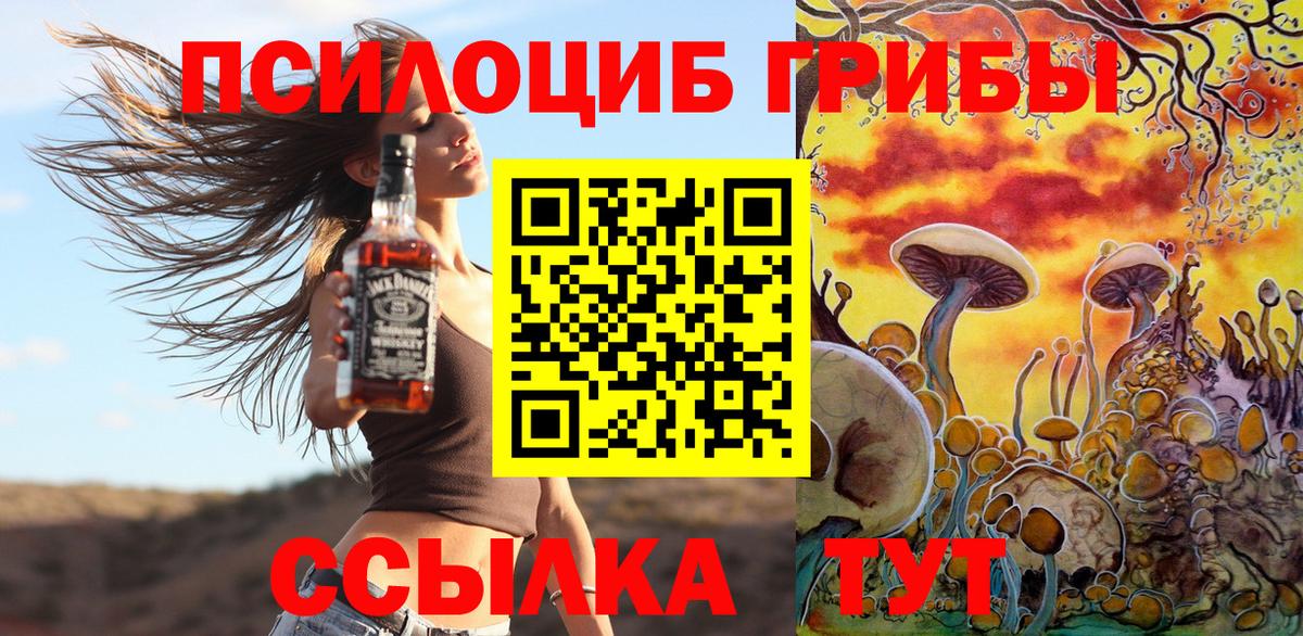 Псилоцибиновые грибы Psilocybe Волгоград