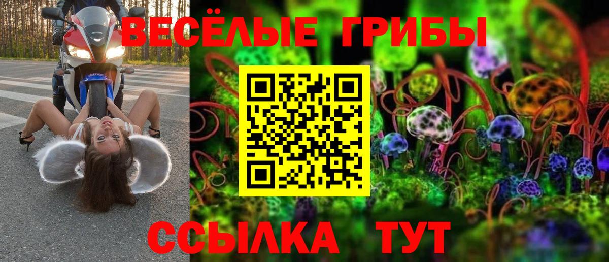 Псилоцибиновые грибы прущие грибы  Псилоцибиновые грибы GOLDEN TEACHER  где найти   Волгоград  Вход с VPN 
